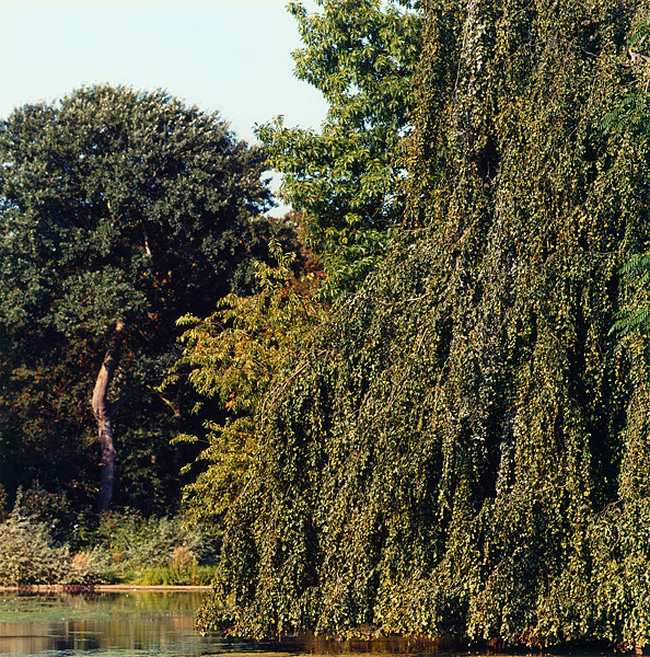 Volksgarten See